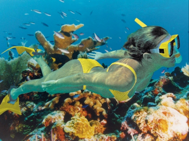 El fondo marino con snorkel